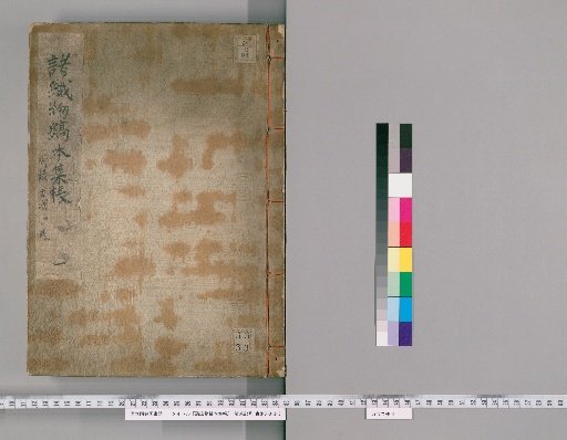 Collection of Various Woven Fabrics with Striped Patterns