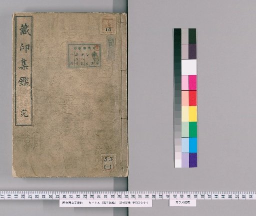 Collection of Seal Impressions