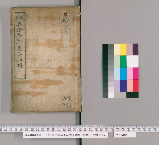 Thirty-Three Pilgrimages to the Color Temples by Son Shunrei