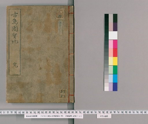 Picture Book of Ancient Birds, Volume 3