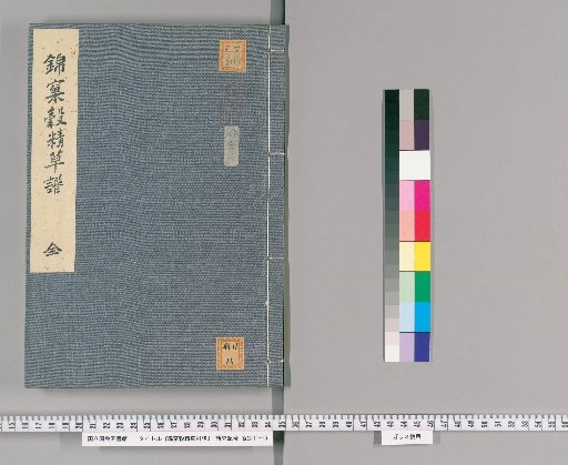 Illustrated Catalogue of the Chrysanthemum Family