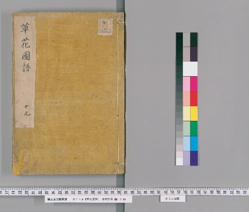 Illustrated Catalogue of Grasses and Flowers, Volume 19