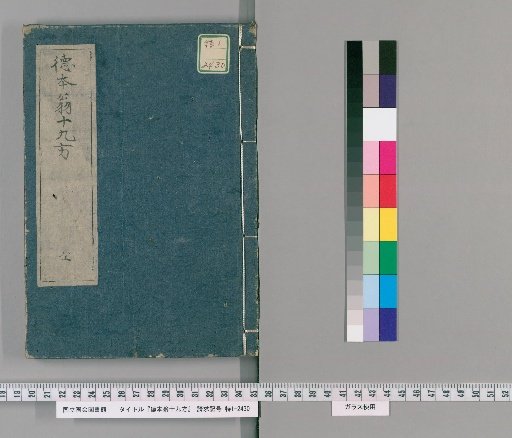 Master Tokumoto's Nineteen Prescriptions