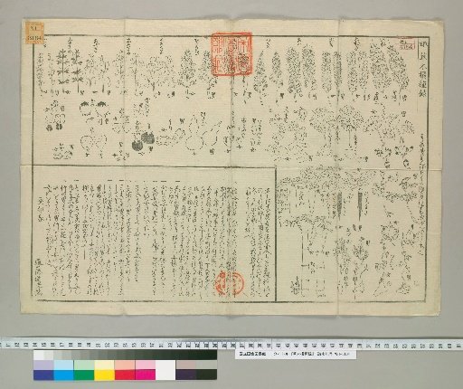 Record of Selected Plant Species