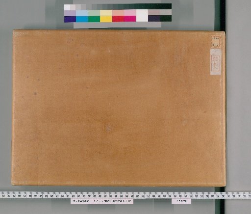 Catalogue of Stones
