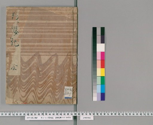 Record of the Remaining Cherry Blossoms