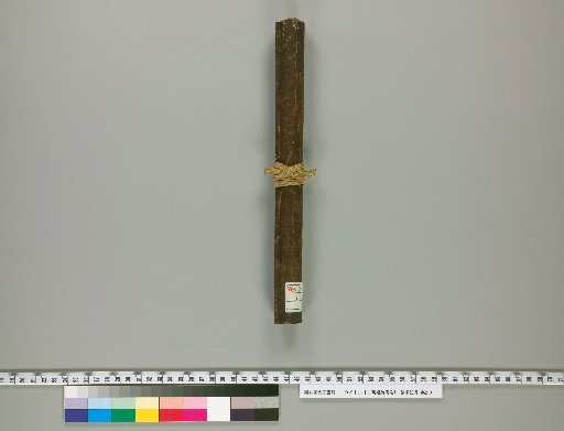 Fragments of Ancient Manuscript Commentaries