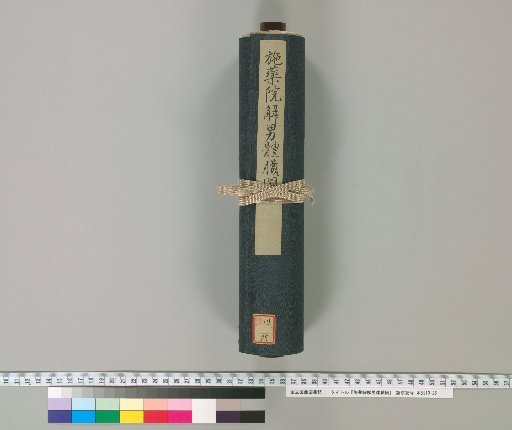 The Shiyakuin's Dissection of the Male Body