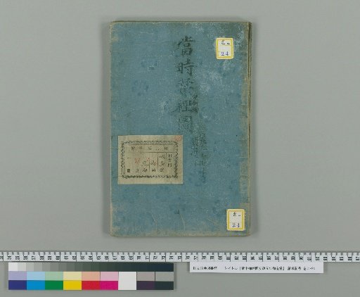 Imperial Palace Plan for the Construction of the First Year of Ansei