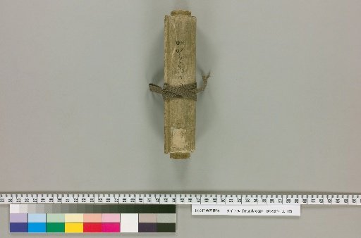 Picture of the Kaga Sparrow