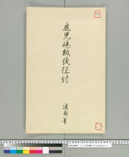 Expedition Against the Rebels of Kagoshima