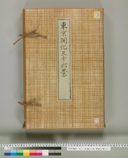 Thirty-Six Views of Tokyo's Enlightenment