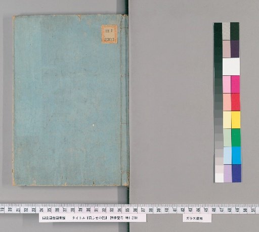 Record of Shell Gathering