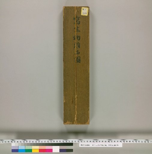 Illustrated Catalogue of Transcribed Objects
