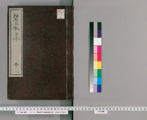 Foguo Huanyu Zen Master's Biyuan Lu, 10 Volumes [1]