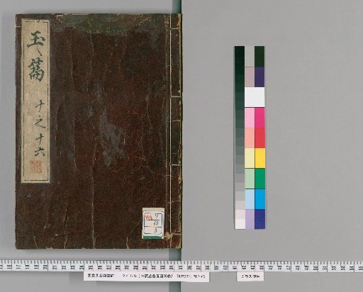 Da Guang Yihui Yupian, 30 Volumes; Yupian Guangyun Guide, 1 Volume [3]
