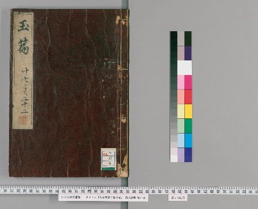 Da Guang Yihui Yupian, 30 Volumes; Yupian Guangyun Zhinan, 1 Volume [4]