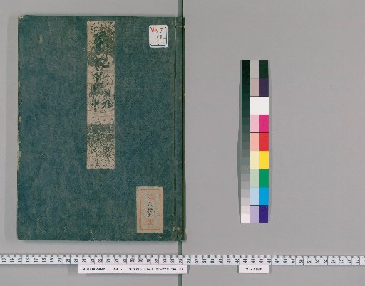 Tale of Flowering Fortunes, 40 Volumes [5]