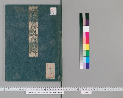 Tale of Flowering Fortunes, 40 Volumes [12]