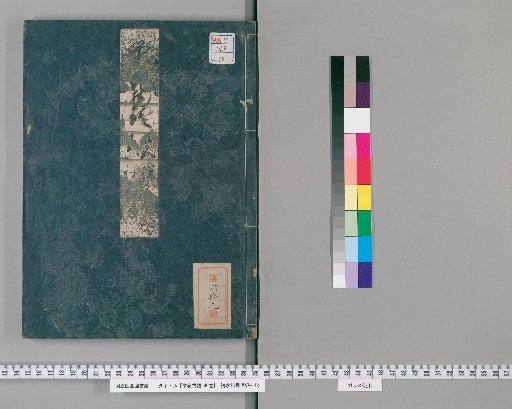 Tale of Flowering Fortunes, 40 Volumes [18]