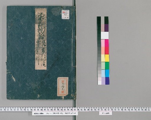 Tale of the Splendid Flower, 40 Volumes [20]