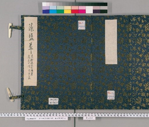 Algae Salt Grass, 20 Volumes [1]