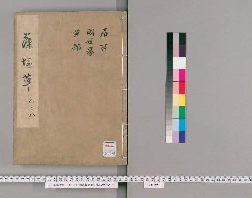 Seaweed Salt Grass, 20 volumes [4]
