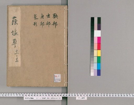 Algae Salt Grass, 20 Volumes [6]