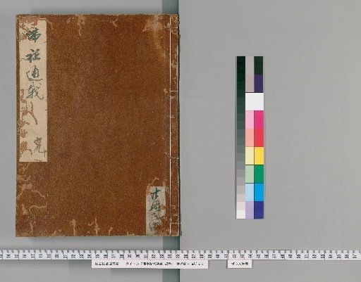 Comprehensive Record of the Succession of the Buddhas, 22 Volumes [17]