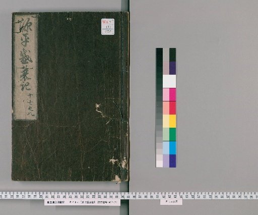 Record of the Rise and Fall of the Genji and Heike, Volumes 17-18