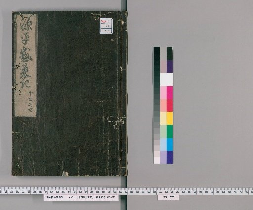 Genpei Seisuiji, Volumes 19-20