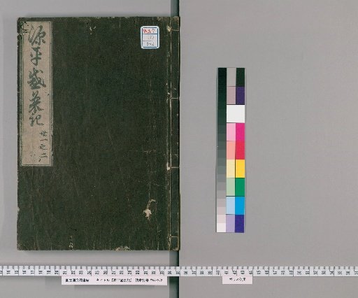 Record of the Rise and Fall of the Genpei, Volumes 21-22