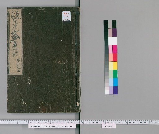 Record of the Rise and Fall of the Genji and Heike, Volumes 33-34