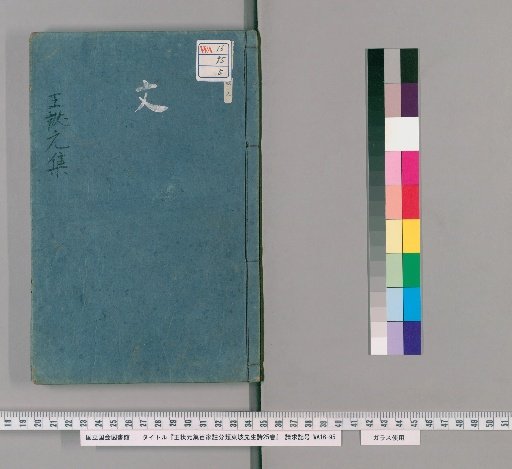 Wang Zhuangyuan's Classified Commentary on the Poems of Mr. Dongpo, 25 Volumes [5]