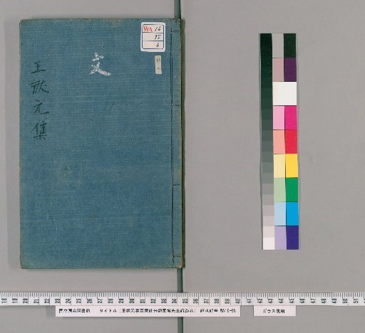 Wang Zhuangyuan Jibaijia Zhufenlei Dongpo Xiansheng Shi, 25 Volumes [6]