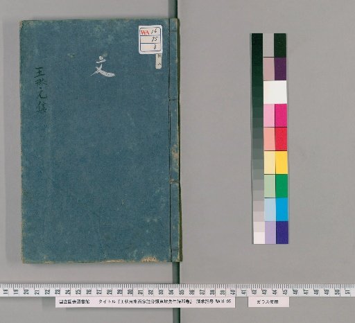 Wang Zhuangyuan's Collected Hundred Families' Annotations on the Classified Poems of Mr. Dongpo, 25 Volumes [8]