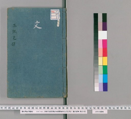 Wang Zhuangyuan's Classified Collection of Hundred Commentaries on the Poems of Master Dongpo, 25 Volumes [9]