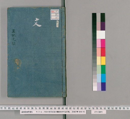 Wang Yuanzhuang's Classified Commentary on the Poems of Master Dongpo, 25 Volumes [11]