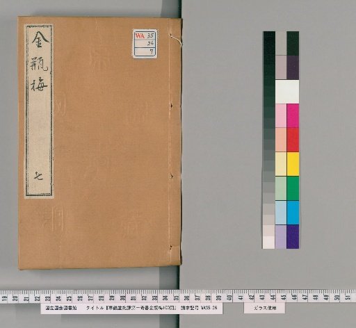 Gaohe Tang's Critique of the First Extraordinary Book, The Golden Lotus, 100 Chapters [7]