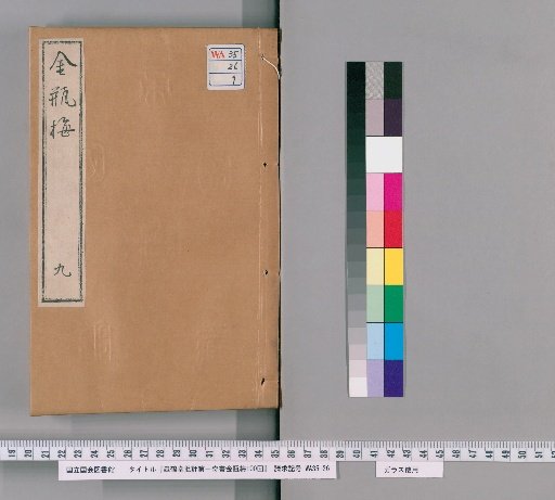 Gaohetang Critique of the First Extraordinary Book, The Golden Lotus, 100 Chapters [9]