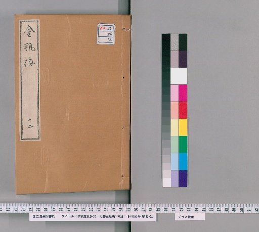 Gaohe-tang Critique of the First Marvelous Book, Jin Ping Mei, 100 Chapters [12]
