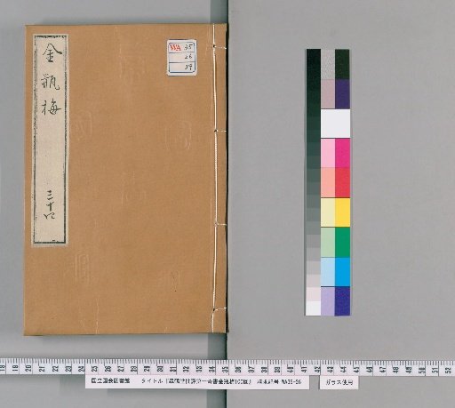 Gaohe Tang's Critique of the First Marvelous Book, The Golden Lotus, 100 Chapters [34]