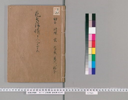 Flower and Bird Sentiment [5]