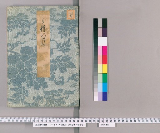Tale of the Splendid Flower [25]