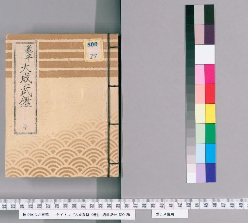 Great Martial Register, 4 volumes [3]
