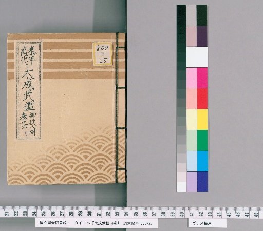 The Great Martial Mirror, 4 Volumes [5]