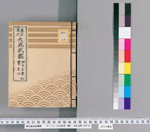 Great Martial Register, 4 volumes [4]