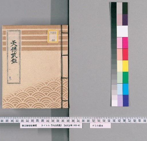 Taisho Bukekan, Volume 1 (2)