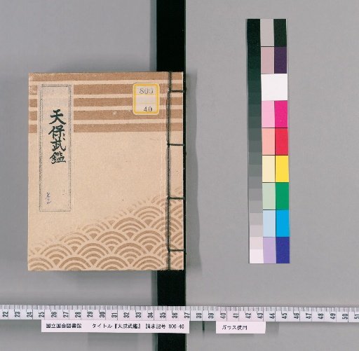 Taisei Bukken, Volume 2 (1)