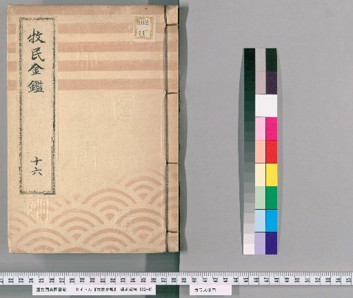 Mirror for Pastoral Officials [19]